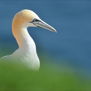 aaacomp Helgoland 20120629 2685