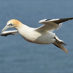 aaacomp Helgoland 20120630 4397