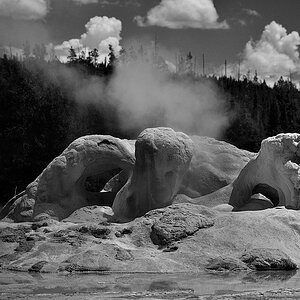 DSC 0423 sw NF-F
Old Faithful Area, Grotto Geyser