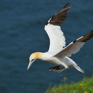 aaacomp Helgoland 20120630 5131