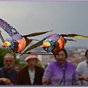 Iron Birds02 NF