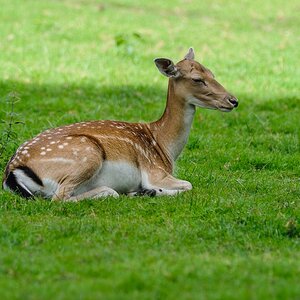 20120811 2268 [NIKON 1 V1] 200 mm,1 640 Sek. bei ƒ   2,0