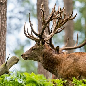 20120811 9467 [NIKON D4] 600 mm,1 400 Sek. bei ƒ   5,6