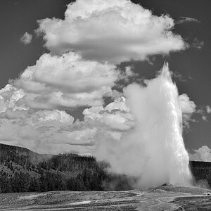DSC 0432 sw NF-F
Old Faithful