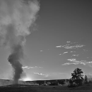 DSC 0380 sw NF-F
Sonnenuntergang hinter Old Faithful (2)