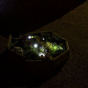 Kleine Garten mit Lichtstrahl - Nachtfoto in M-Modus ISO100 , f8 , 30sek