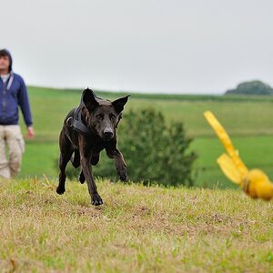 2012 09 15 0403   D3scomp
