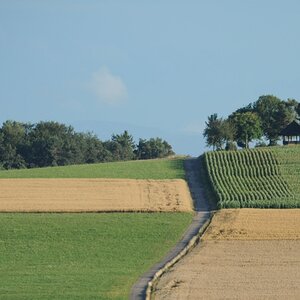 img12 crop