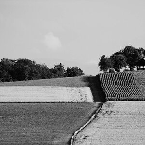 img12 crop bw