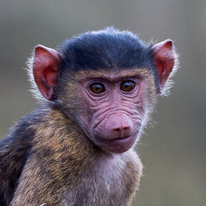 tanzania gesicht