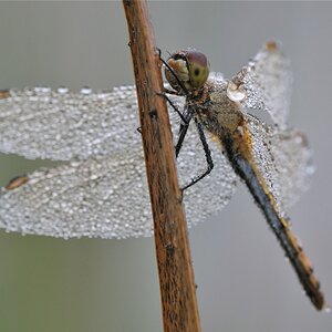DSC 5541