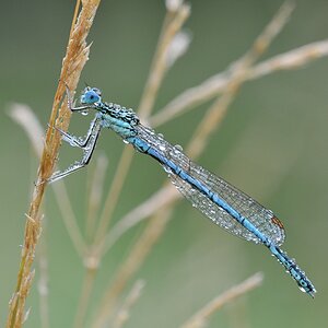 DSC 5574