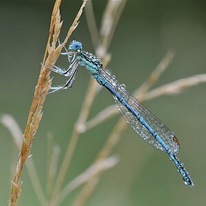 DSC 5579