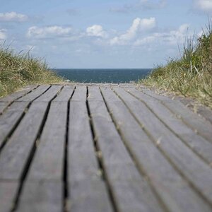 Holzsteg