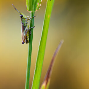 20120827 DSC 1096