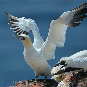 aaacomp Helgoland 20120630 6635