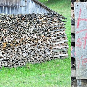 Holz stehlen verboten