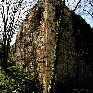 scharfeneck