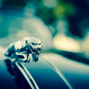 Jaguar DSC 3248