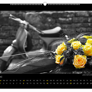 vespakalender 2013 06
