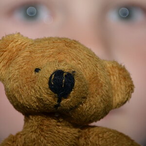 DSC 0733 03