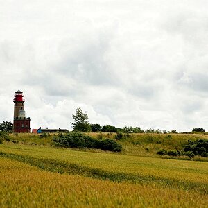 DSC 5505