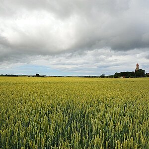 DSC 5537