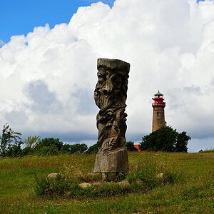 DSC 5530