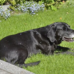 im Garten mit "Sprenger"