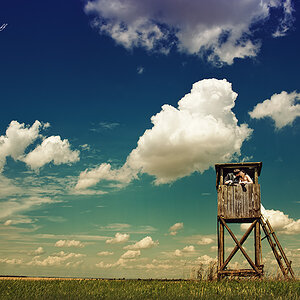 Photodesign Radloff 0236
