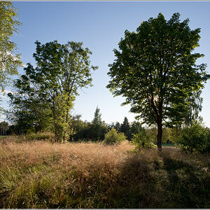 sonne zuhause2