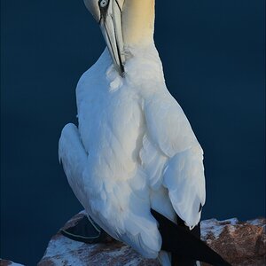 aaacomp Helgoland 20120630 8717