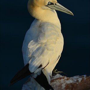 aaacomp Helgoland 20120630 8904