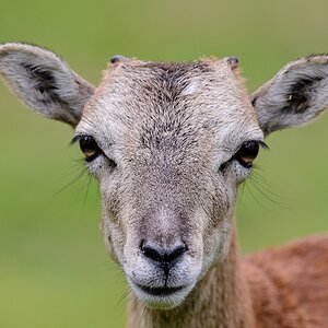 20120811 9371 [NIKON D4] 600 mm,1 400 Sek. bei ƒ   8,0