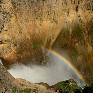 DSC 1237 NF-F
Yellowstone, Grand Canyon of the Yellowstone, Lower Falls