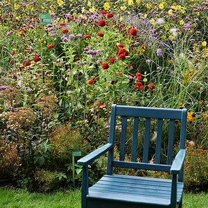 gartenimpressionen 01