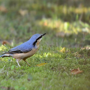 DSC 7542 900 a