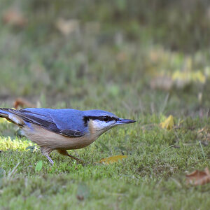 DSC 7543 900