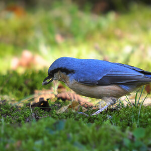 DSC 7559 900