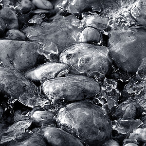 on the rocks sw b