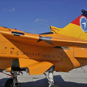 100A DSC0 1363