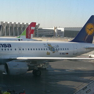 FFM-2008