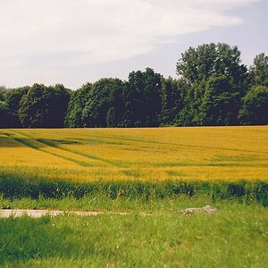 Bessa IMG 1