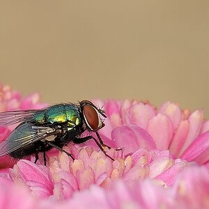 DSC4108