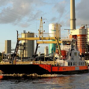 schiff1  JKK 6923
