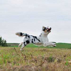 2012 09 15 8810  D300S A