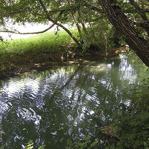 Sommer 2012 0307 low