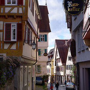 DSC 5318