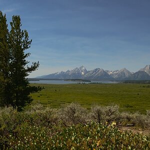 DSC 1293 NF-F
Grand Teton NP
Teton Range und Jackson Lake