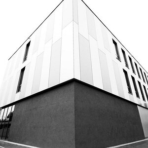 Archithema 2  D2X0125
